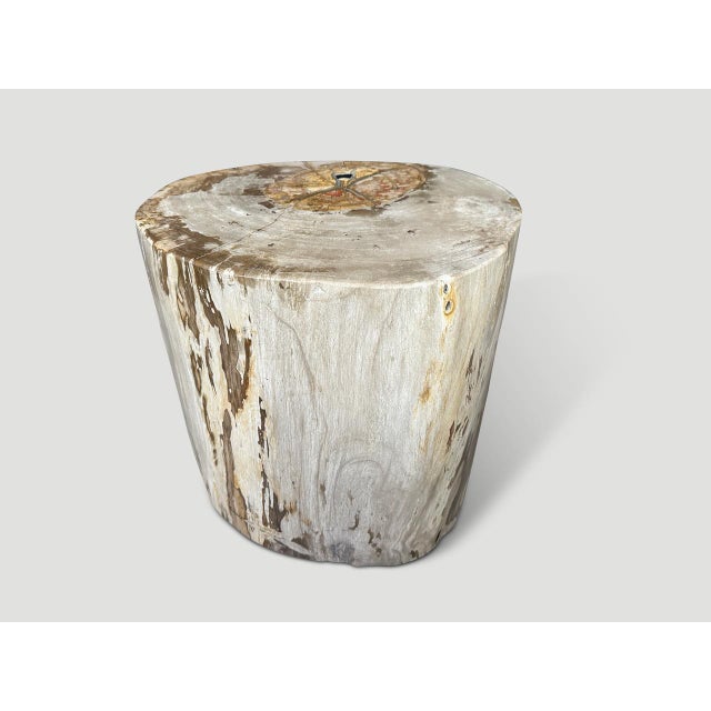 Andrianna Shamaris Impressive Large Petrified Wood Side Table For Sale - Image 11 of 18