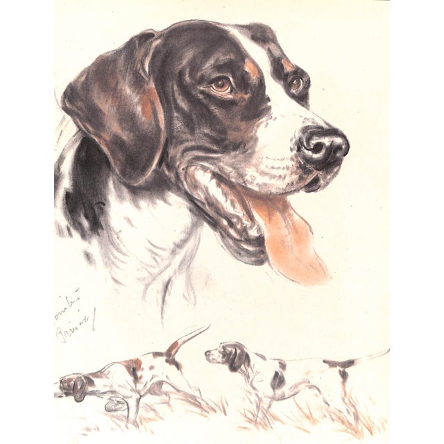 "Diana Thorne's Dogs: An Album of Drawings" 1944 Thorne, Diana For Sale In New York - Image 6 of 12