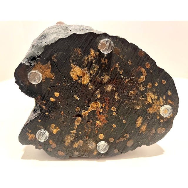 Signed Uri Roth 20th Century Hand Carved Wood Sculpture For Sale In Detroit - Image 6 of 12