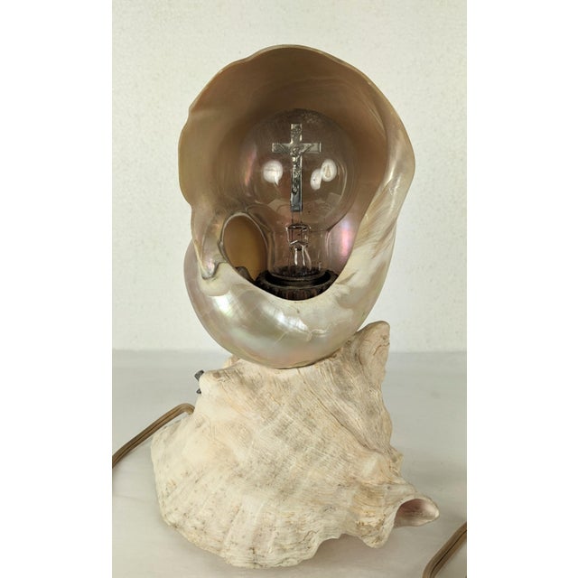 Charming Art Deco Nautilus and Conch Shell Lamp from the 1940's with original bulb. 1940's USA.