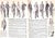 Paper Abercrombie & Fitch Play Hours 1963 Catalog For Sale - Image 7 of 9