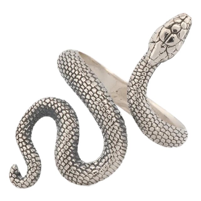 Cycle of Life Snake Sterling Silver Ring, Size 5 For Sale