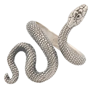 Cycle of Life Snake Sterling Silver Ring, Size 5