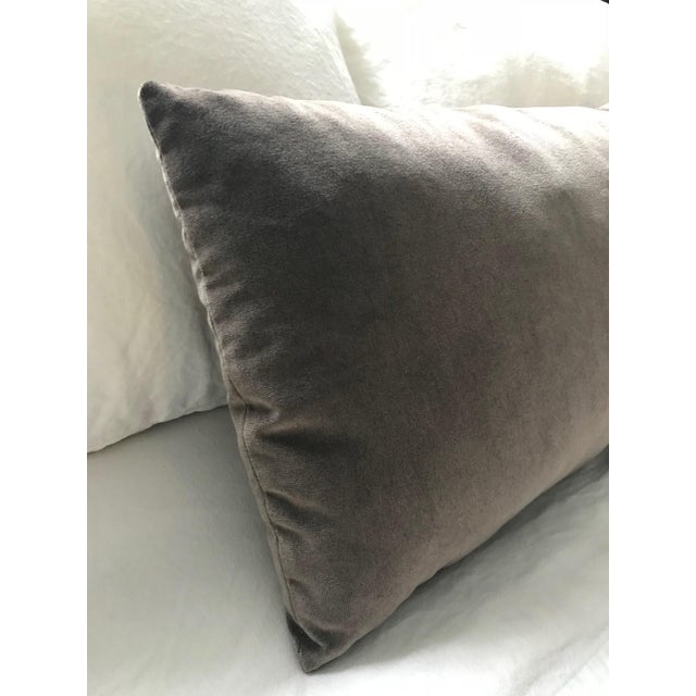 Gray Velvet Throw Pillow Chairish