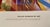 George Grosz in Dallas, Flowers of the Prairie, Dallas Museum of Art Poster/Print, 2012 Original Lithographic Museum...