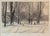 Mid-Century Modern 1980s Harold Altman Signed Limited Edition Etching “January, Jardin Du Luxembourg” For Sale - Image 3 of 9