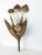 Decorative Floral wall lamp with leaves The original cliff brass of the 60s. European Plug (up to 250V).The wiring of this...