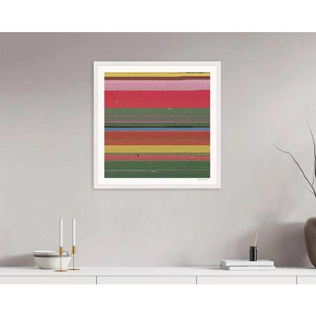 "AV_Tulip_Fields_036" Contemporary Aerial View Limited Edition Photograph by Bernhard Lang For Sale - Image 6 of 11