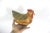 Vintage Paper Maché Chicken Rooster Box For Sale - Image 9 of 10