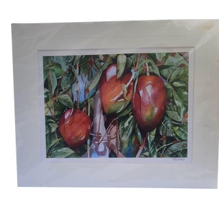 Late 20th Century Tropical Botanical Mango Tree Print by PC Bailey For Sale
