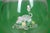 Sz: 6 1/4"H x 5"W A brandy glass, also known as a snifter, is a short-stemmed glass with a wide bottom and a narrow top...