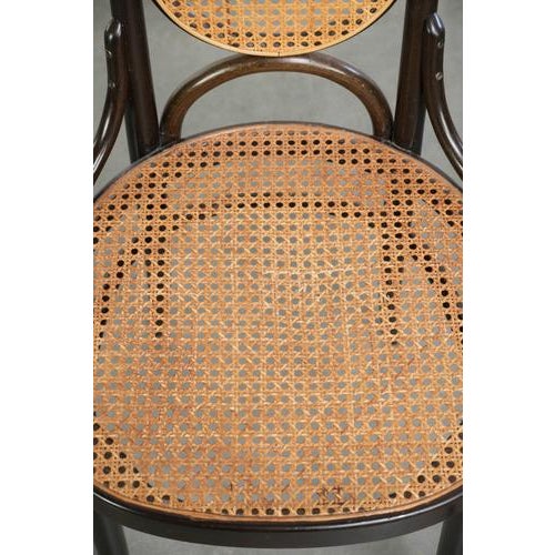 Vintage Long John High Back Bentwood Chairs with Webbing Seats from Thonet, Set of 6 For Sale - Image 10 of 17