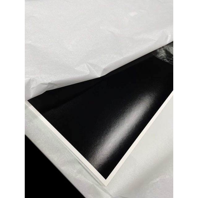 Contemporary Black and White Horse Portrait Photograph For Sale - Image 4 of 4