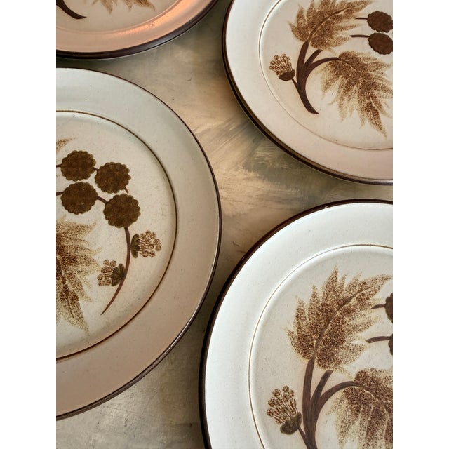 Brown Set of Four (4) Denby Greenwheat Dinner Plates 9.75 Inches | Made in England Vintage Stoneware For Sale - Image 8 of 9