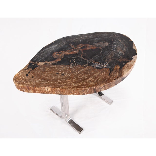One Slab Living Edge Petrified Wood Console Table W Stainless Stand 52 For Sale In Greensboro - Image 6 of 6