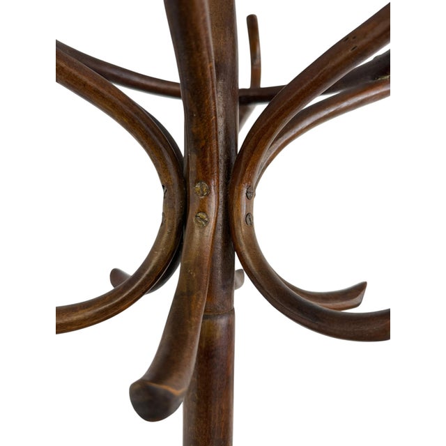 Antique Handcrafted Bentwood Coat Rack and Hat Stand by Michael Thonet, 1900 For Sale - Image 9 of 10