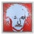 Late 20th Century Einstein - State I Pop Art Red Screenprint on Canvas With Hand Embellishment Steve Kaufman For Sale