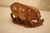 Early 20th Century Antique Late Qing Chinese Shoushan Soapstone Sculpture of a Sow With Piglets, Signed For Sale - Image 5 of 17