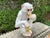 1960s 1960s Italian Glazed Terracotta Monkey Sculpture For Sale - Image 5 of 12