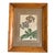 19th Century English Primrose Botanical Illustration Print in Antique Birds Eye Maple Frame (#1 of 2 Available) For Sale