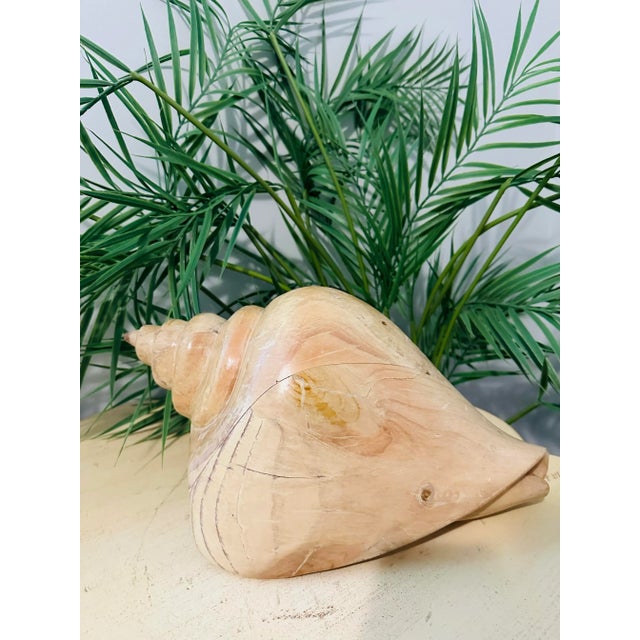 Fabulous large Sarreid conch shell hand carved in wood. From Spain. Heavy piece perfect on a coffee table or on top of...