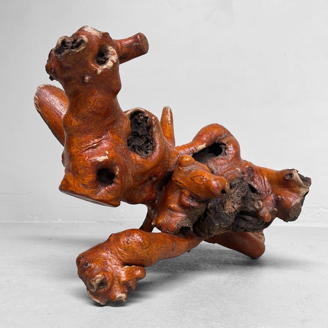 Japanese Rootwood Yamazakura, 1970s For Sale - Image 16 of 16