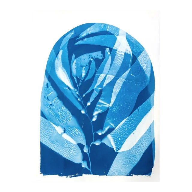 Naturally Colored Cyanotype on Paper, "Giant Kelp Study 35, Point La Jolla" For Sale