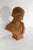 This ochre colored terracotta bust represents a young woman, her hair pulled back and knotted, exposing her ears and...