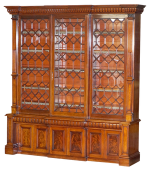 Tall Victorian Hardwood Astral Glazed Bookcase, 1860s
