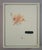 # 'Flower' #3 - High-End Framed Cy Twombly Style Minimalist Botanic Oil on Canvas For Sale - Image 6 of 8