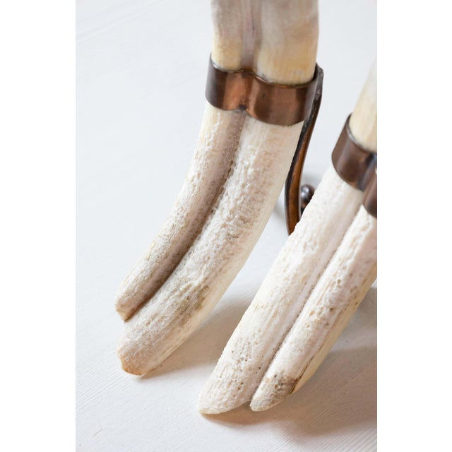 Rustic Pair of 19th Century Game Animal Horns Mounted on Scrolling Metal Stands For Sale In Atlanta - Image 6 of 7