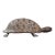 Antique Hand Carved Folk Art Turtle Sculpture For Sale