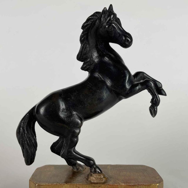 Grand Tour Horse Sculptures, Early 1800s, Bronzes, Set of 2 For Sale - Image 6 of 13
