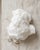 Contemporary Natural Angel Wing Calcite Specimen by Stillmantle For Sale - Image 3 of 4