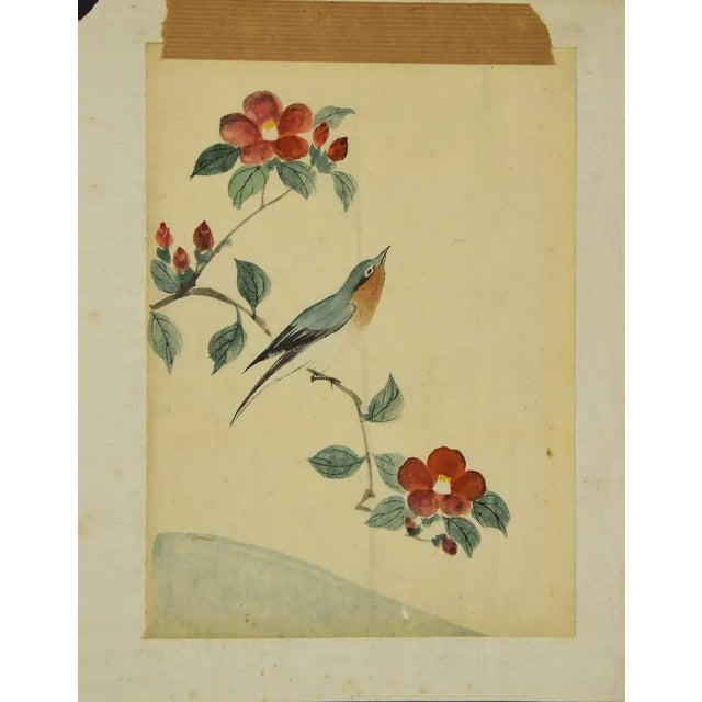 Bird on the branch is an original colored drawing in watercolor on ivory-colored paper glued on paper, realized by...