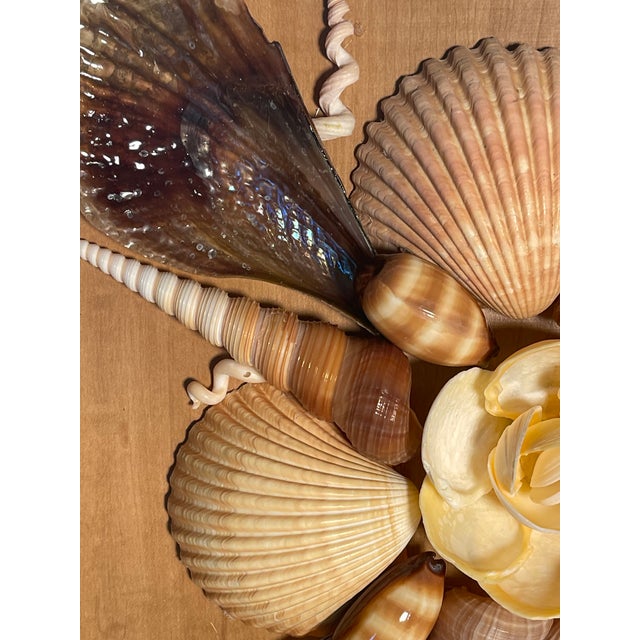 Gorgeous Sea Shell Natures Beauty Wall Plaque by Elia For Sale - Image 4 of 8