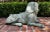 Large Grand Tour Bronze Sphinx in Repose Statue For Sale - Image 11 of 12