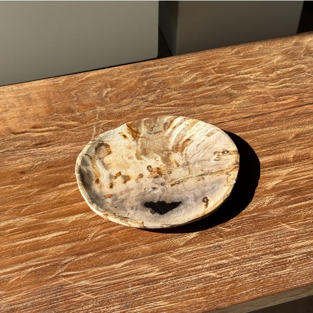 Small Trinket Dish in Beige Petrified Wood with Black Spots For Sale - Image 9 of 9