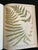 Heath's Fern Portfolio, 1885 Complete With 15 Chromolithographs For Sale - Image 11 of 18