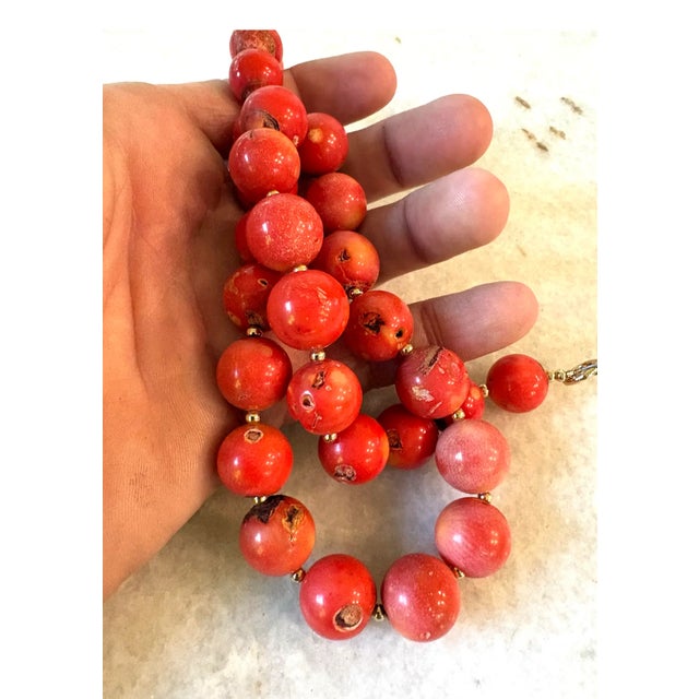 Coral Beaded Necklace With Gold Toe Clasp Designed by Matthew Izzo For Sale - Image 4 of 4