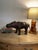 Animal Skin Wood and Leather Hippopotamus Sculpture For Sale - Image 7 of 9
