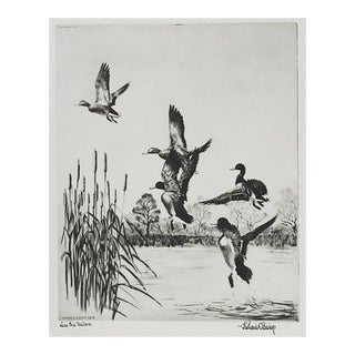Lake Erie Mallards by Richard Bishop Etching For Sale
