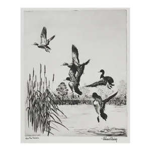 Lake Erie Mallards by Richard Bishop Etching