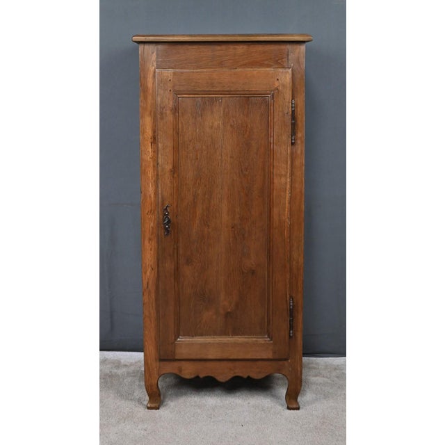 19th Century Standing Regional Cabinet in Oak For Sale - Image 6 of 18