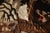 Antique Zabihi Collection Chinese Tiger Pictorial Large Square Rug - 7'3" x 8'1" For Sale - Image 4 of 12