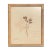 Antique Herbarium Botanicals, 1897 — Set of 10 For Sale - Image 17 of 17