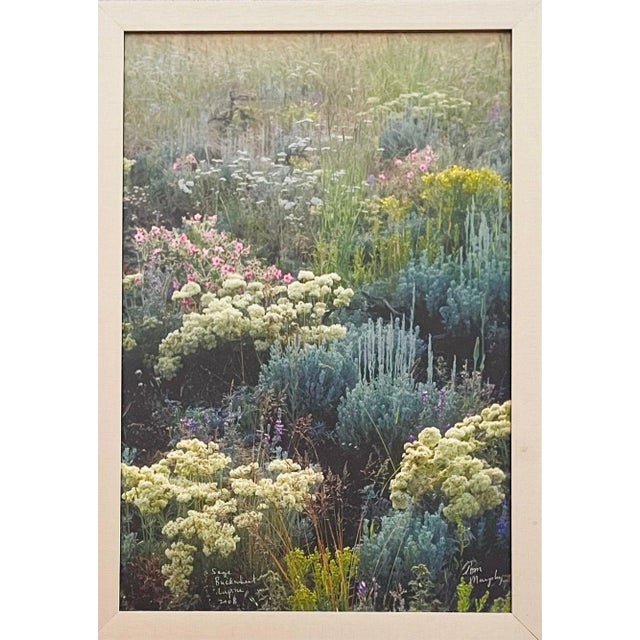 Sage Buckwheat Lupine 2008 Framed print. Signed by artist Tom Murphy. Dimensions 13 3/4" H x 9 3/4" Wx 1" D Acquired at an...
