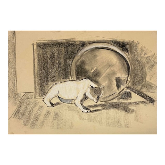 Tatiana McKinney Bazilian Still Life Drawing For Sale