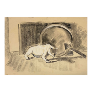 Tatiana McKinney Bazilian Still Life Drawing