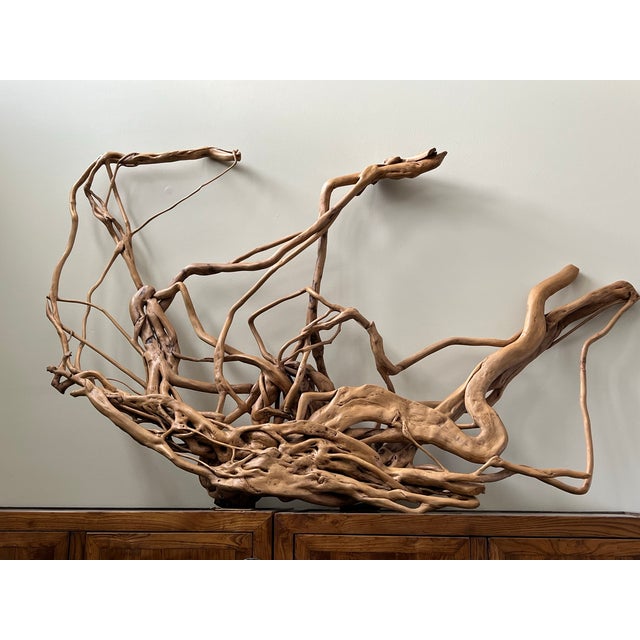 Rustic Large Root Sculpture From Southwest China For Sale - Image 3 of 12